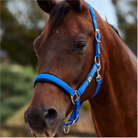 Neo Comfort Halster